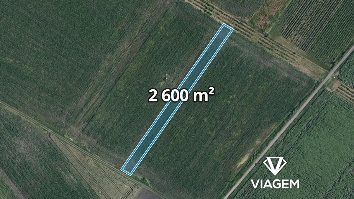 Prodej pole 2600 m²